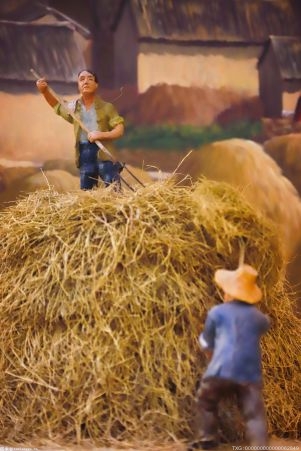 城鄉建設部支持地方做好低收入群體基本住房安全保障工作